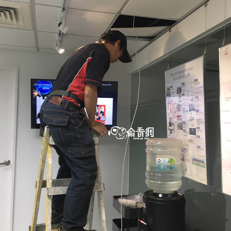 偷看網_外商食品保健公司_佈線施工