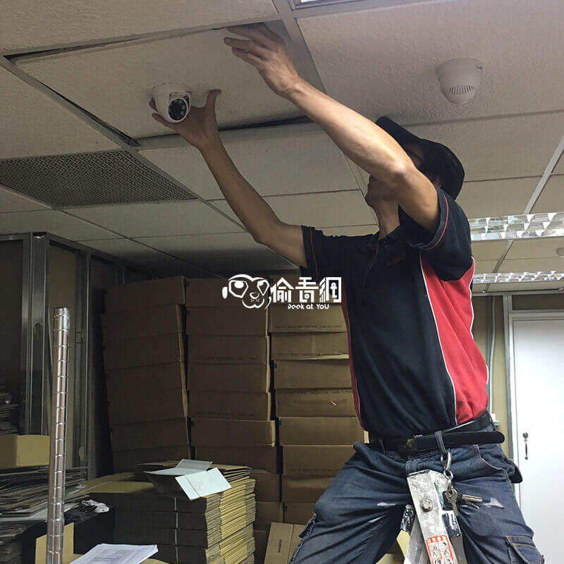 偷看網_外商食品保健公司_佈線施工