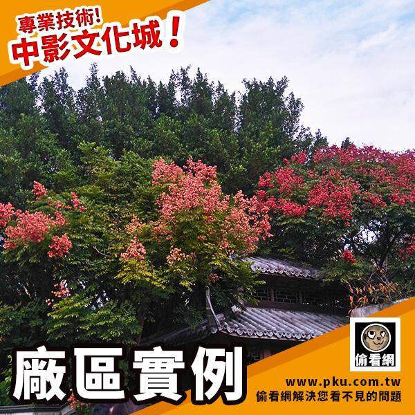 偷看網-中影文化城