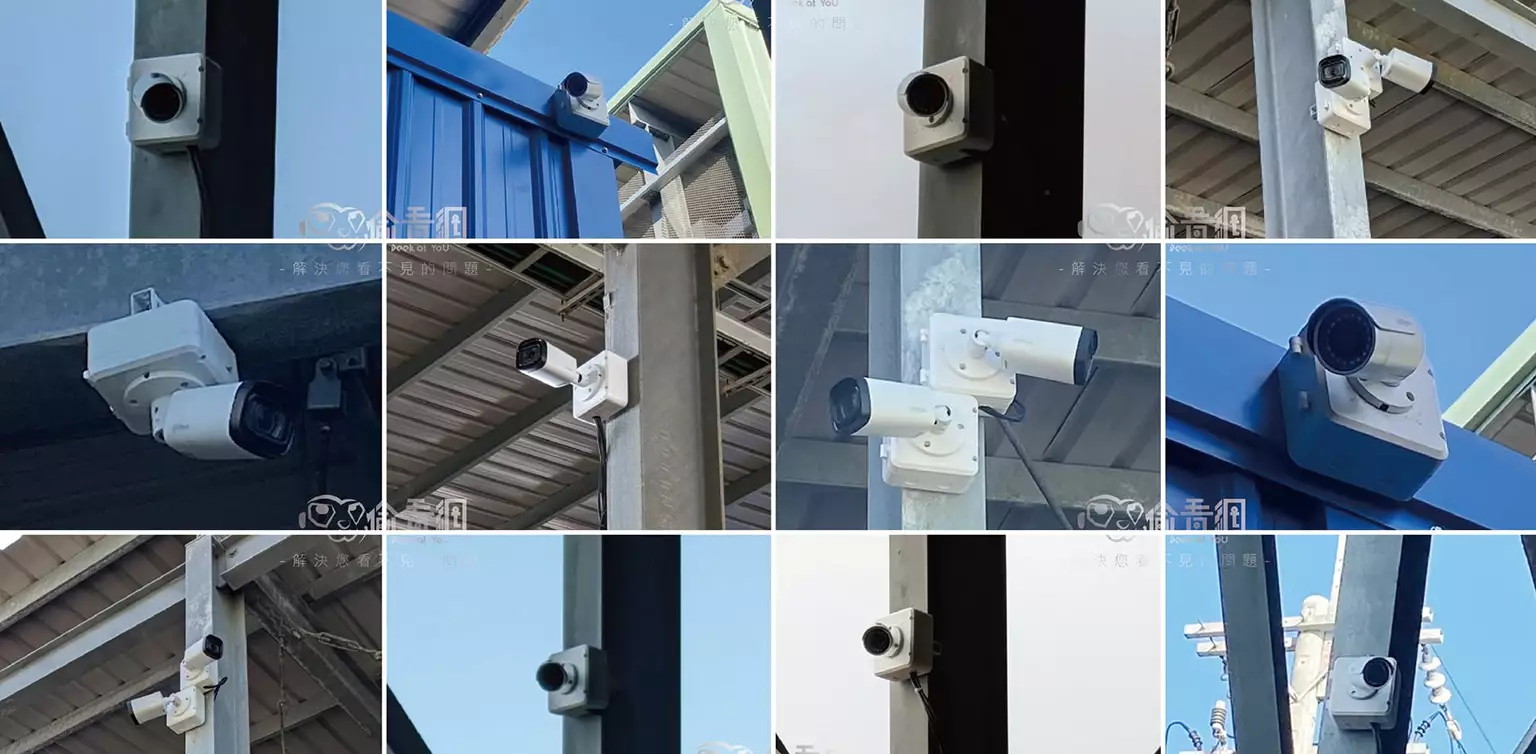 偷看網│智能光電養殖場-施工過程
